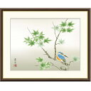 額絵 高見蘭石 楓に翡翠 f8・f6・f4サイズ 現代日本画シリーズ 季節の名鳥 gk-a5-j4a001(p144) (J4-A001) (代引き不可) 日本画 インテリア