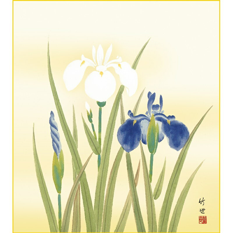 色紙絵 花鳥画【田村竹世】菖蒲 四季絵 k5-016b 四季淡花夏【代引き不可】