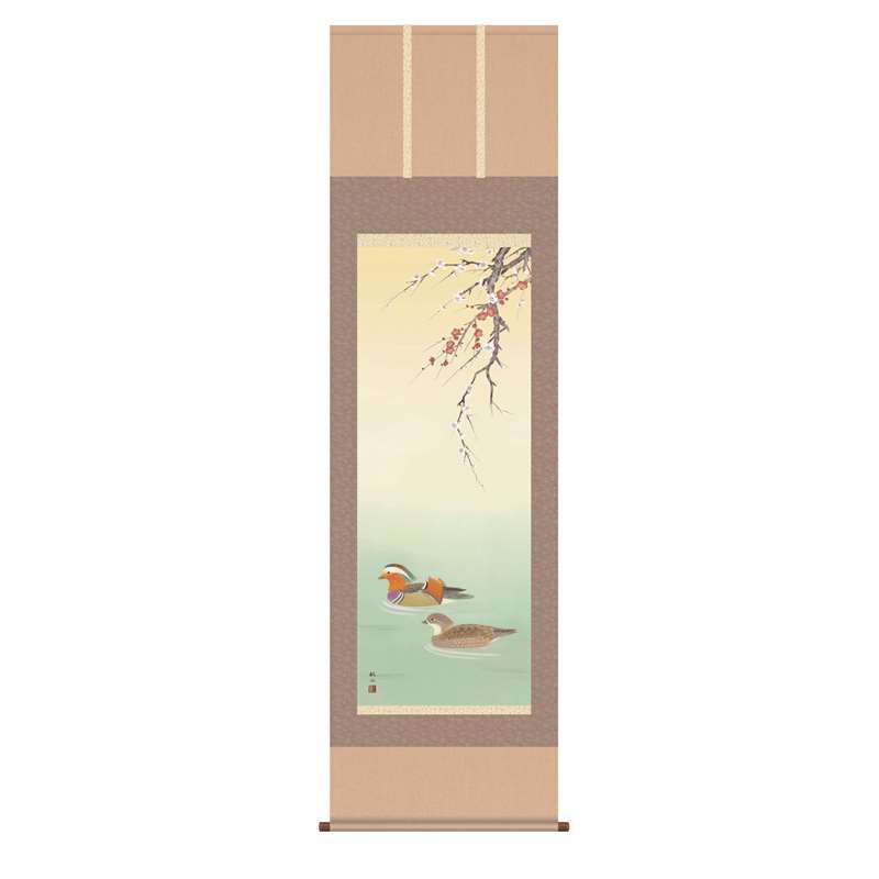 掛軸 花鳥画 [鴛鴦] 浮田秋水 尺五 [H30A5-032]【代引き不可】