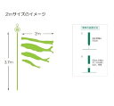 徳永 鯉のぼり 庭園用 ガーデンセット （杭打込式）ポールフルセット 2m鯉3豪 尚武之丸吹流し 撥水加工 日本の伝統文化 こいのぼり 2