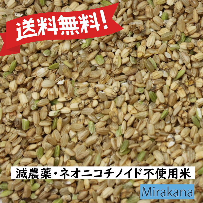 令和7年産 キヌヒカリ 兵庫県産 小米 Mirakana 減農薬 ネオニコチノイド不使用米 玄米0.5kg・0.9kg・2k..