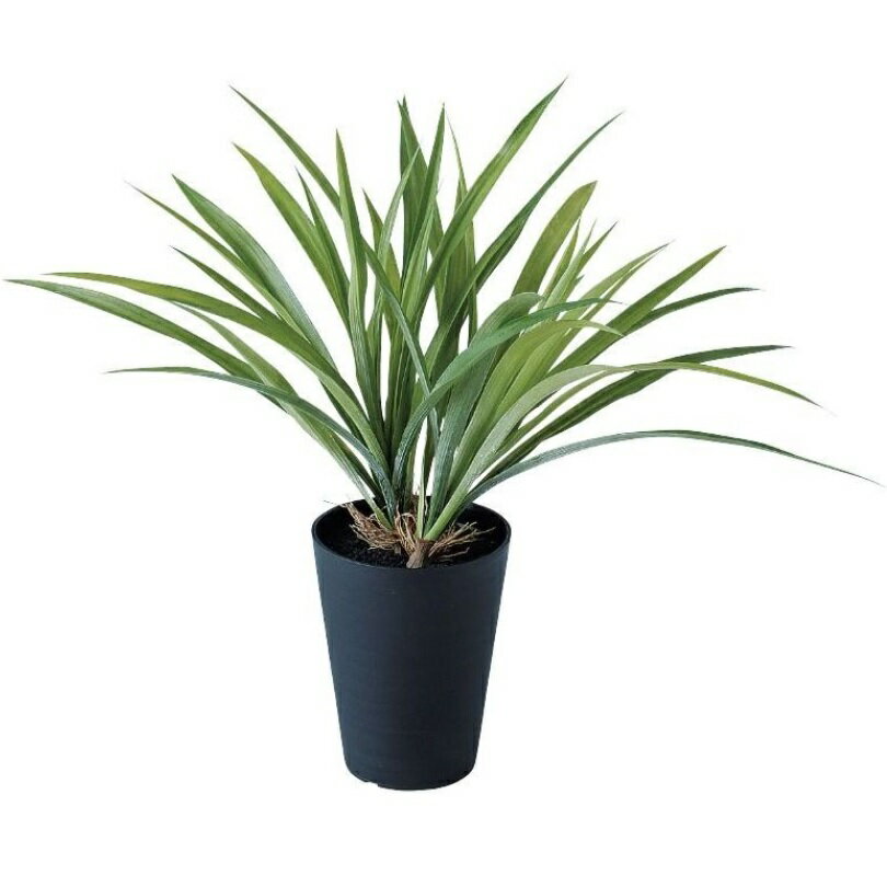 オリヅルラン 人工観葉植物 アオオリヅルラン ポット付き 高さ40cm （P97-91644) （代引き不可） インテリアグリーン フェイクグリーン