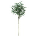 人工観葉植物 トネリコ 4S スタイル FST ツリーベース付 高さ260cm (P35-91714-99404sb) (代引き不可) インテリアグリーン フェ...