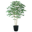 人工観葉植物 ヤマモミジ株立 180 GREEN FST ポット付き 高さ180cm （P122-91763) （代引き不可） インテリアグリーン フェイクグリーン