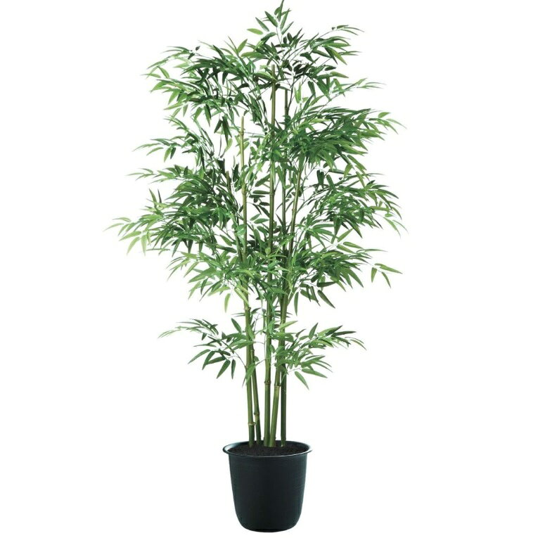 人工観葉植物 青竹 5本立 180 ポット付き 高さ180cm （P127-91784) （代引き不可） インテリアグリーン フェイクグリーン
