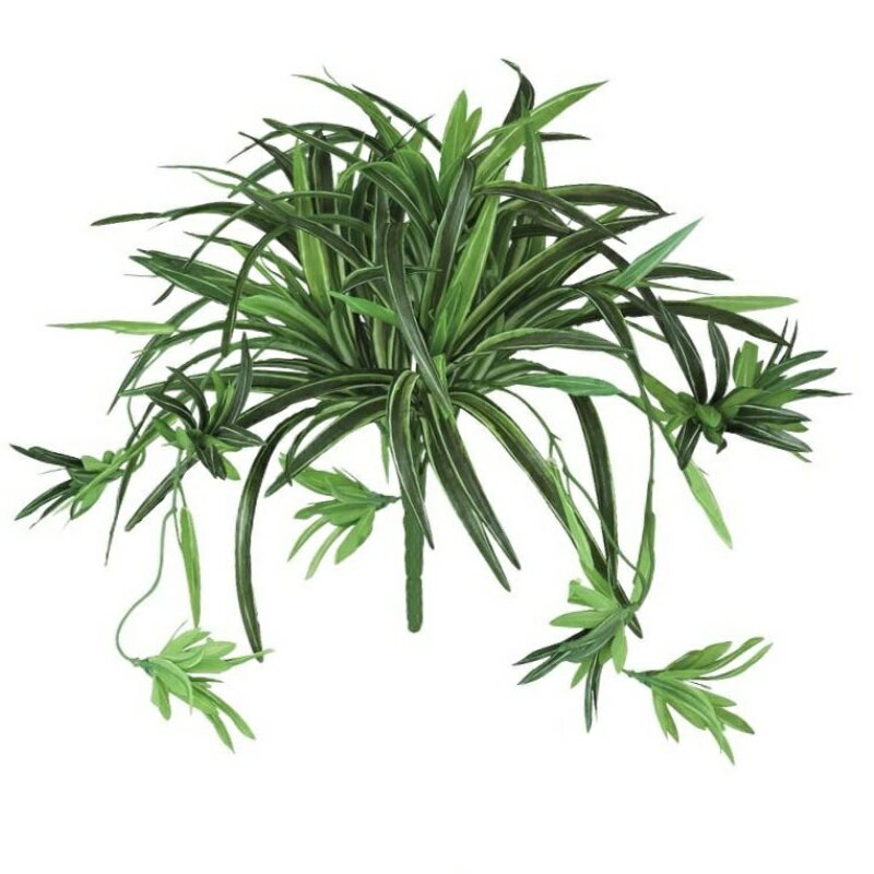 オリヅルラン 人工観葉植物 オリヅルラン G ブッシュ 長さ25cm （P135-91832) （代引き不可） インテリアグリーン フェイクグリーン