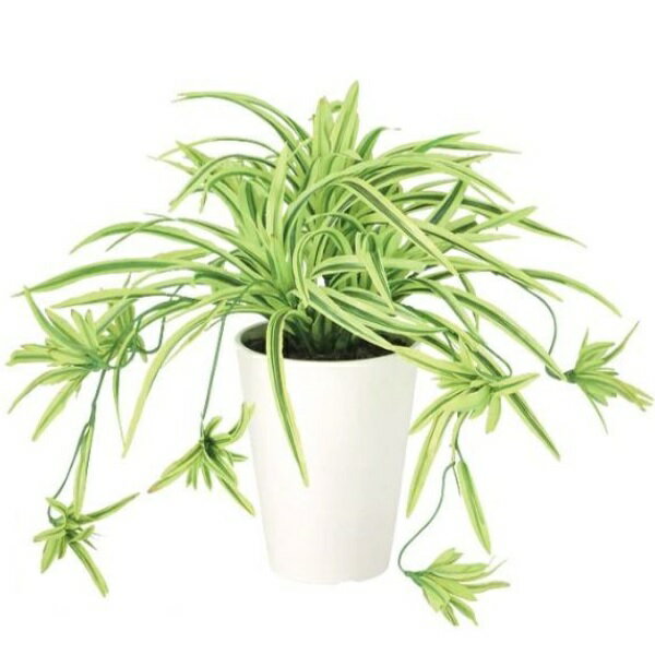 オリヅルラン 人工観葉植物 オリヅルラン G/Y ポット付き 高さ30cm （P97-91838) （代引き不可） インテリアグリーン フェイクグリーン