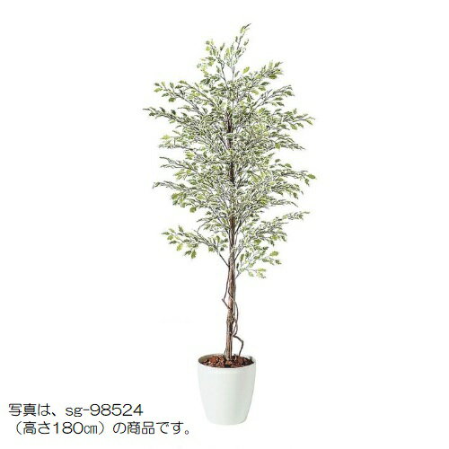 lHϗtA xW~iX^[Cg 150 natural |bgt 150cm iP57-98525) isj CeAO[ tFCNO[