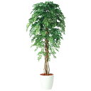 人工観葉植物 アカシアリアナ 180 ポット付き 高さ180cm (P80-98983) (代引き不可) インテリアグリーン フェイクグリーン