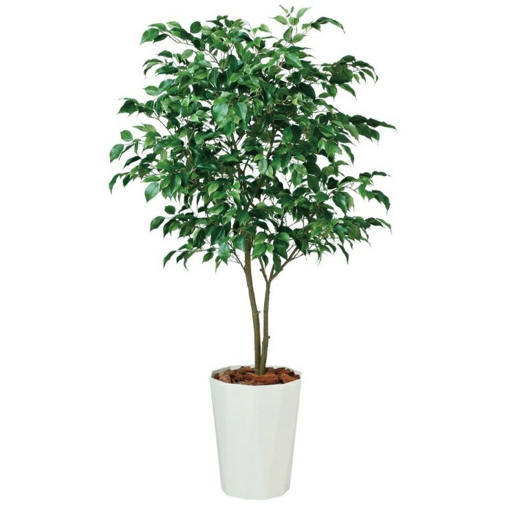 人工観葉植物 ベンジャミン ワイド FST 150 ポット付き 高さ150cm （P56-99122) （代引き不可） インテリアグリーン フェイクグリーン