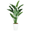 人工観葉植物 ストレチア・オーガスタ MIX 170 ポット付き 高さ170cm (P88-99174) (代引き不可) インテリアグリーン フェイクグリーン
