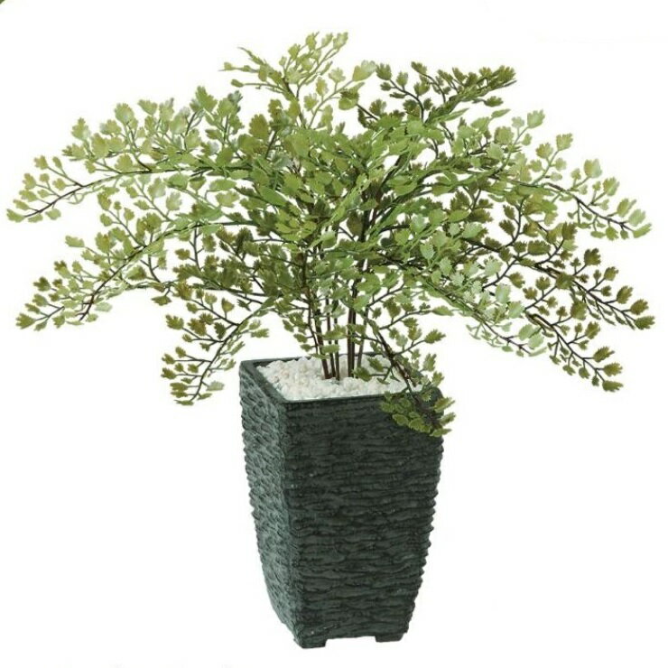 アジアンタム 人工観葉植物 アジアンタム ポット付き 高さ30cm （P108-99188) （代引き不可） インテリアグリーン フェイクグリーン