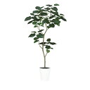 人工観葉植物 HQ ウンベラータ FST 180 ポット付き 高さ180cm (P39-99320) (代引き不可) インテリアグリーン フェイクグリーン(4)