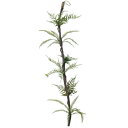 人工観葉植物 ミックスファン バイン S 長さ120cm (P25-99485) (代引き不可) インテリアグリーン フェイクグリーン