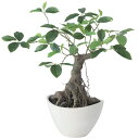人工観葉植物 ガジュマル ボウル ポット付き 高さ50cm (P121-99524) (代引き不可) インテリアグリーン フェイクグリーン