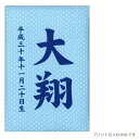 名前入り立札 名前・生年月日 彩葉(いろは) パステル水玉 ブルー 高さ12cm (601057) 木製ヒノキ プリント名前・生年月日入り五月人形 [メール便発...