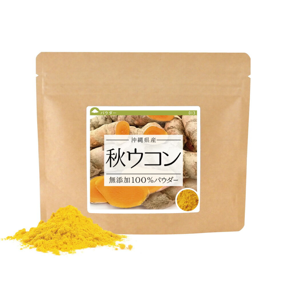 秋ウコン 無添加100％パウダー 40g《