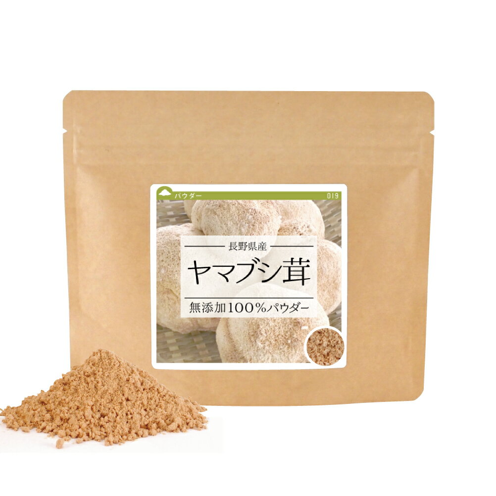 ヤマブシ茸 無添加100％パウダー 30g《サンプル》 送料無料 ヤマブシタケ 粉末 ウサギタケ 無添加 ポイント消化