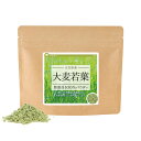 大麦若葉 無添加100%パウダー 60g《サンプル》 送料無料 青汁 大麦若葉粉末 粉末 お茶 粉末茶 無添加 ポイント消化【10P05Nov16】