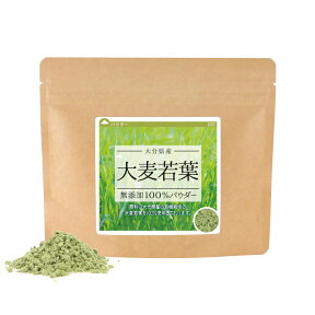 大麦若葉 無添加100％パウダー 60g《サンプル》 送料無料 青汁 大麦若葉粉末 粉末 お茶 粉末茶 無添加 ポイント消化【10P05Nov16】