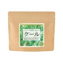 ケール 無添加100%パウダー 50g《サンプル》 送料無料 青汁 ケール100%青汁 粉末 無添加 ポイント消化【10P05Nov16】