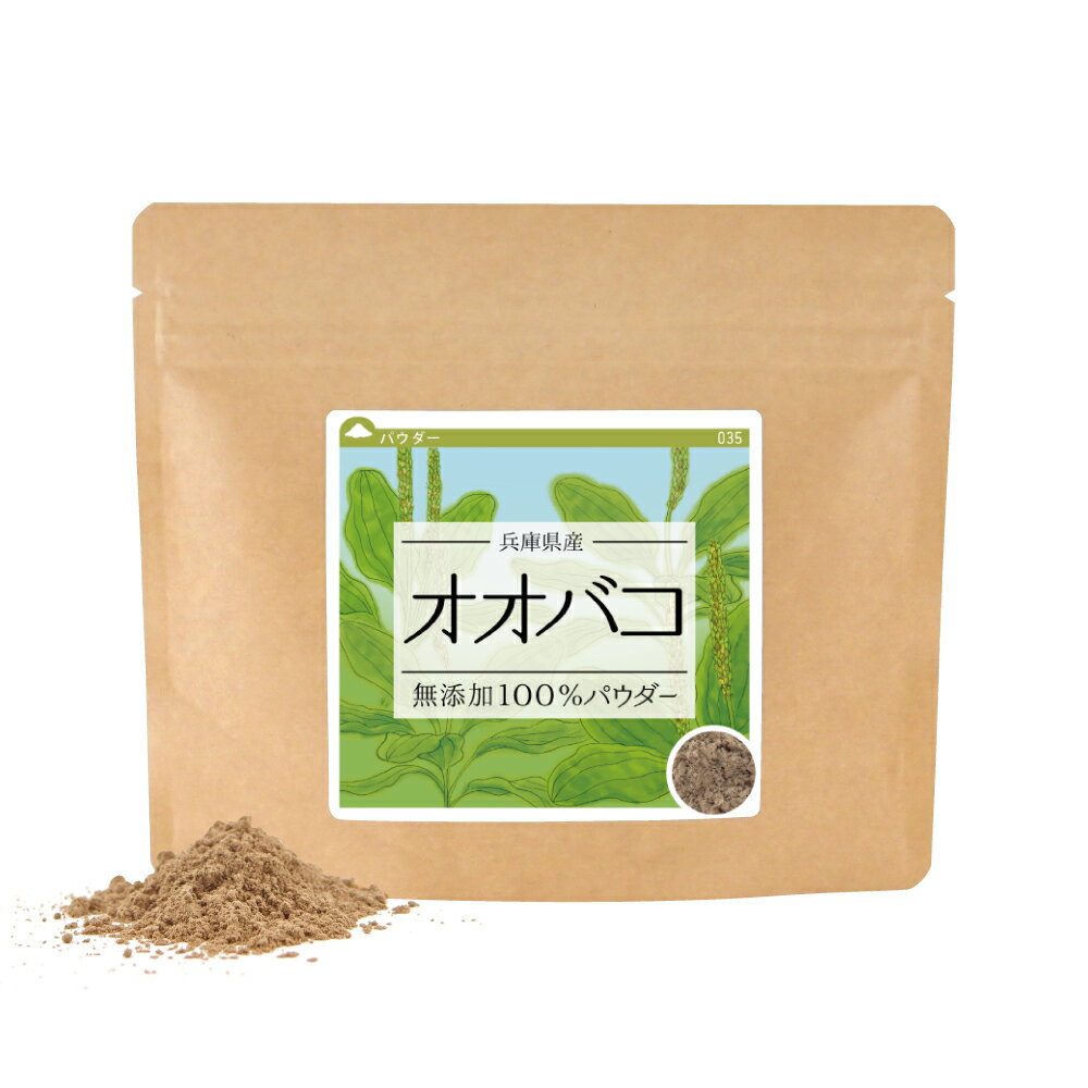 楽天健康・野草茶センターオオバコ 無添加100％パウダー 50g《サンプル》 送料無料 国産 おおばこ オオバコダイエット 粉末 粉末茶 無添加 ポイント消化【10P05Nov16】