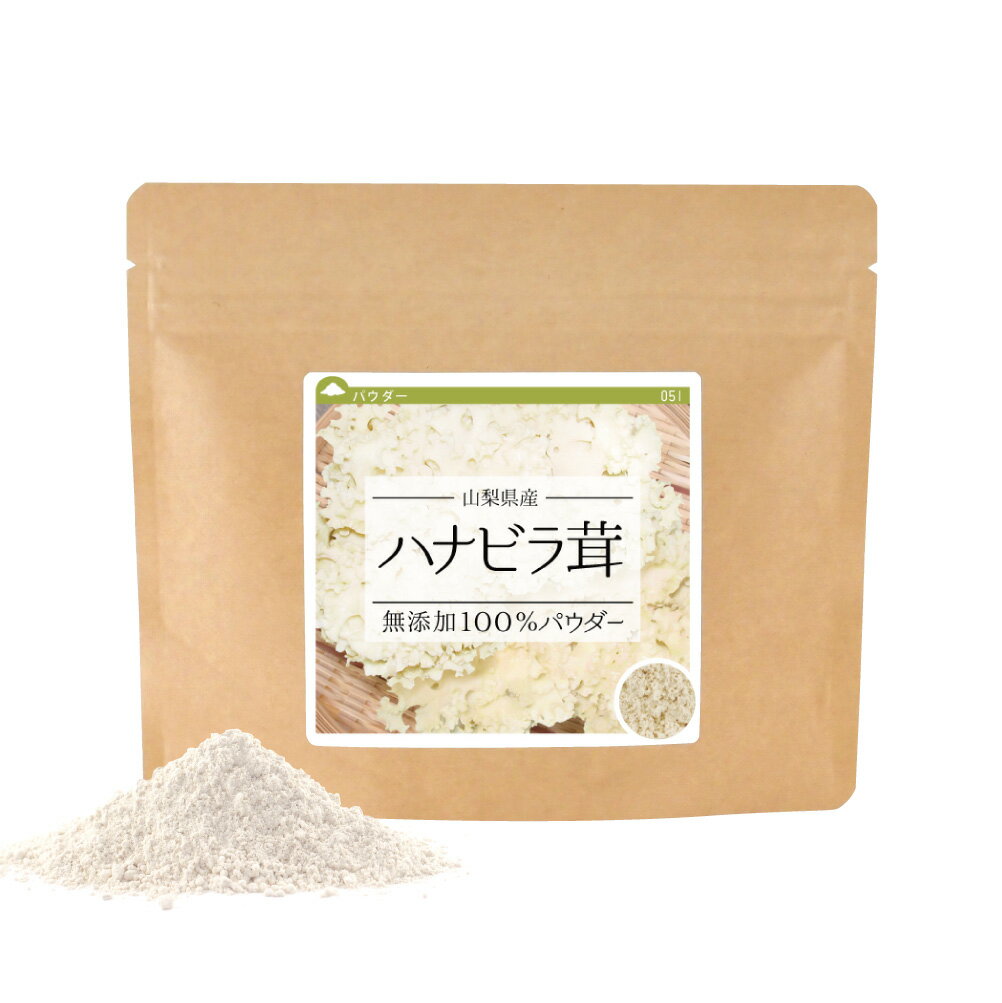 ハナビラタケ 粉末 ハナビラ茸 無添加100％パウダー 40g 山梨県産 はなびらたけ キノコ お茶 パウダー 健康茶 健康飲料 送料無料 【10P05Nov16】