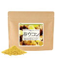 春ウコン 無添加100%パウダー 40g《サンプル》 送料無料 国産 沖縄県産 姜黄 キョウオウ 精油成分 ミネラル 食物繊維 フラボノイド サンプル クロネコ...