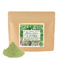 【送料無料】ブロッコリースプラウト 無添加100%パウダー 九州産 15g 《サンプル》 健康茶 粉 粉末 粉末茶 国産 スルフォラファン 超硫黄分子 【10P...