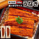 【ポイント2倍】 うなぎ 国産 お中元 ギフト 鰻 2尾/4尾/5尾 鹿児島 大隅産 120g ウナギ 蒲焼き 御中元 夏ギフト 送料無料 誕生日 プレゼント ...