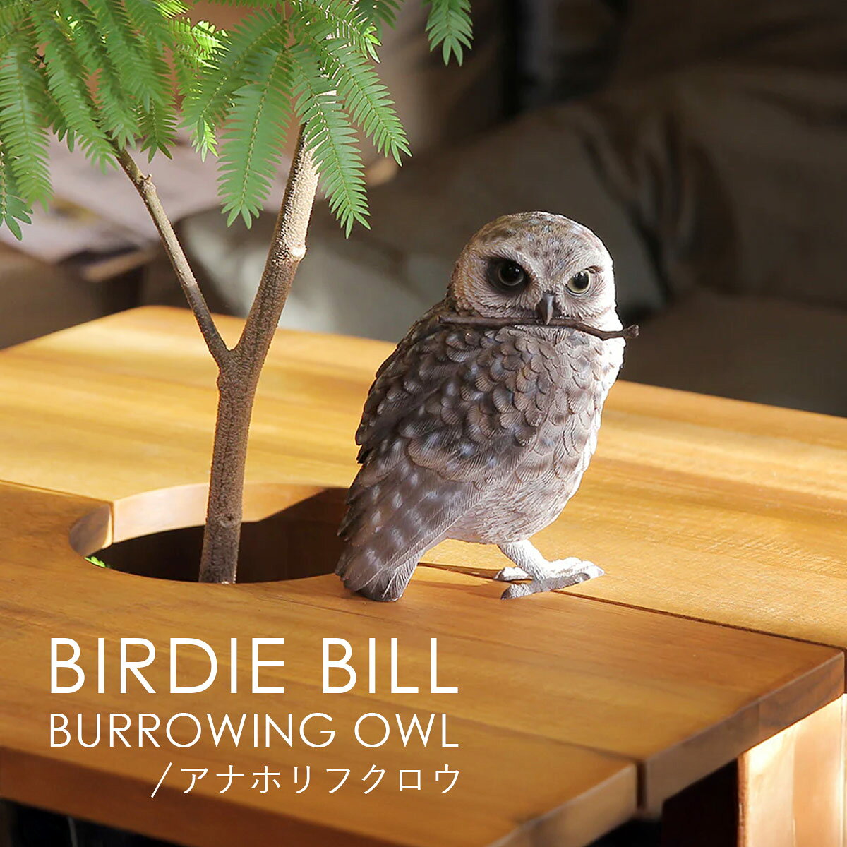 Rakuten - BIRDIE BILL バーディ ビル BURROWING OWL アナホリフクロウ | ふくろう / 梟 / オブジェ / 置物 / 磁石 / クリップホルダー / デスク / 癒し / インテリア / ギフト / magnet / マグネット【沖縄・離島 お届け不可】
