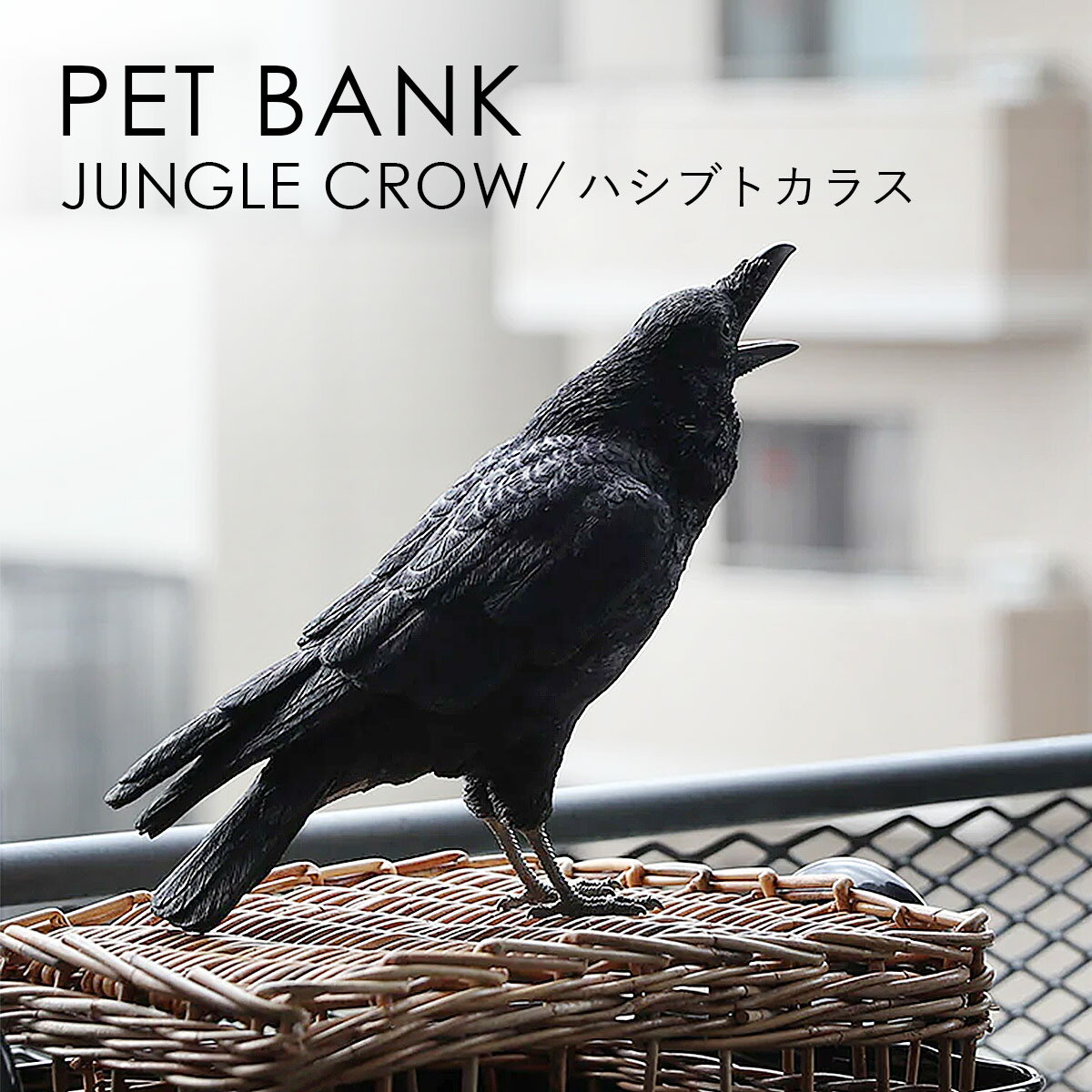 Rakuten - PET BANK ペットバンク JUNGLE CROW ハシブトカラス | カラス / 烏 / 鴉 / 貯金箱 / オブジェ / 置物 / 癒し / インテリア / ギフト / magnet / マグネット【沖縄・離島 お届け不可】