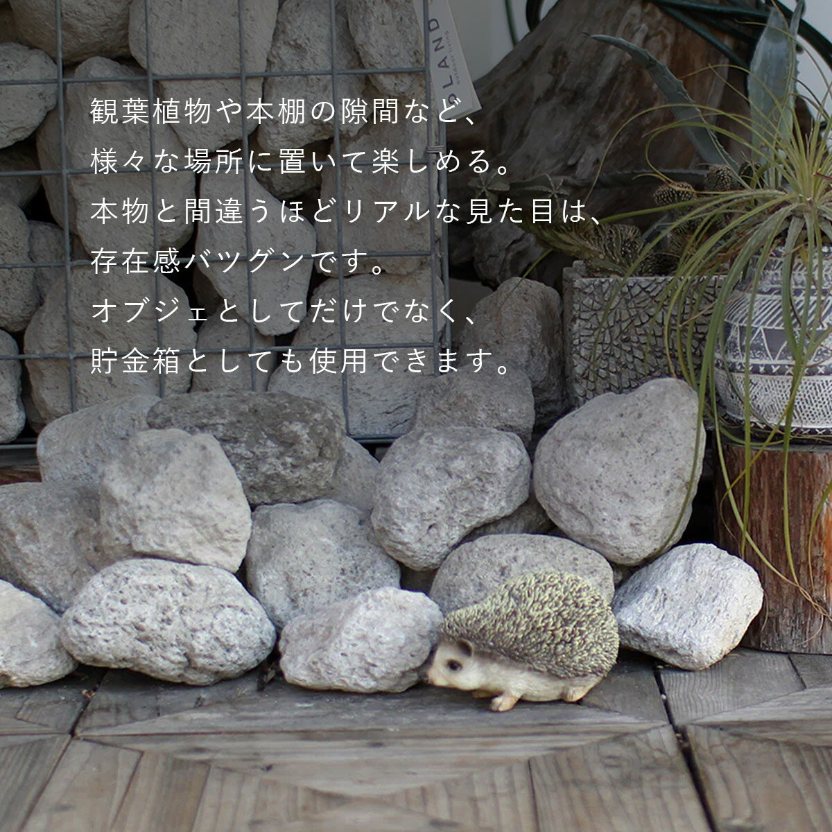 PET BANK �ڥåȥХ� HEDGEHOG �ϥ�ͥ��� | �ˤͤ��� / ����Ȣ / ���֥��� / ��ʪ / ���� / ����ƥꥢ / ���ե� / magnet / �ޥ��ͥåȡڲ��졦Υ�� ���Ϥ��Բġ�