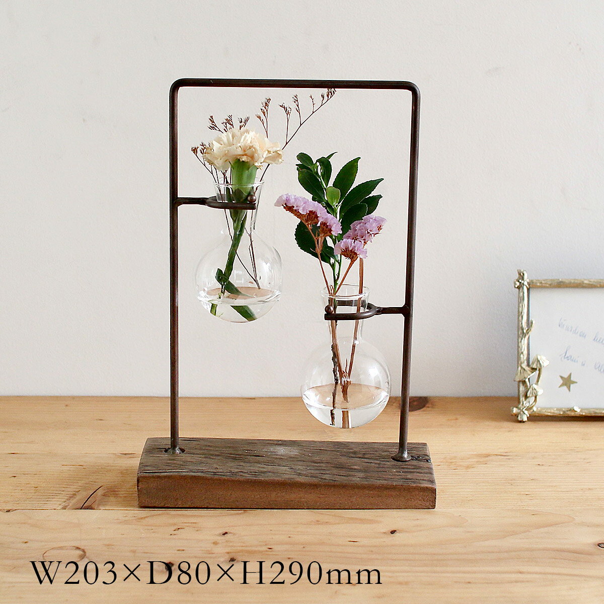 乐天商城 - アイアンガラスハンギング 2ボトル | アイアン / ガラスベース / ディスプレイ / アンティーク調 / 花びん / 花瓶 / 花器 / フラワーベース / 鉄 / 店舗 / インテリア / SOW / ソウ【沖縄・離島 お届け不可】