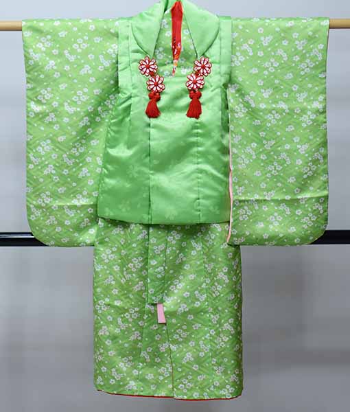 ޻   ۥ ʪ Ĺ 3å п  ɽȾ ã˥դ Ω̵ ʡʳ˰Ĳ NO41227