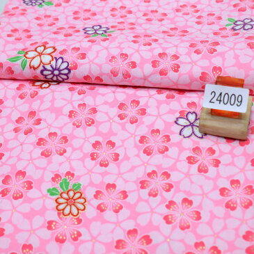 二尺袖着物袴フルセット 刺繍ぼかし袴 百花斉放 卒業式に 新品 (株)安田屋 m189783011