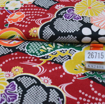 着物袴セット ジュニア用へ直し144cm〜150cm 和遊日 ぼかし刺繍袴 新品(株)安田屋 b283537559