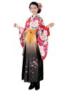 着物 袴セット ジュニア用へ直し 135cm~143cm H・L アッシュ・エル 卒業式にどうぞ! 小学生 新品(株)安田屋 NO28636-02
