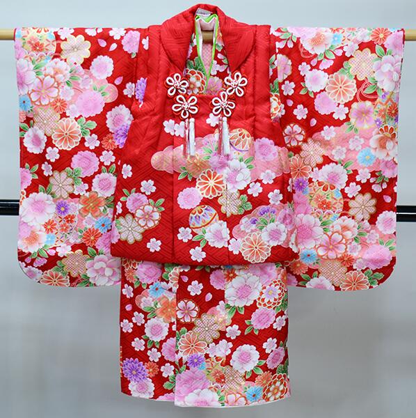 ޻   ʪå  ̴ ɴ  3 3  λ  Ω̵ ʡʳ˰Ĳ NO39808