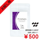 特別価格 500円 賞味期限2024年6月末 ワンコイン お試し用初回限定1ヶ月分 サプリ サプリメント アイのちから 目のサプリ 目のサプリメント スマホ パソコン 目 眼 疲れ アントシアニン 女性 男性 紫外線 ビタミン エイジングケア アイケア 健康 健康サプリ その1