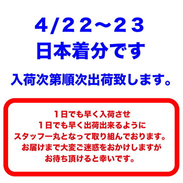 【4月22〜23日入荷　入荷次第順次発送】マスク 1袋50枚 白 大人用 サージカルマスク 男女兼用 使い捨て レギュラーサイズ 対策 99％カット 風邪 花粉 細菌