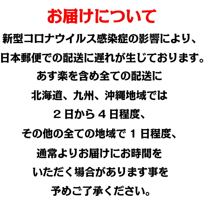 純白金立切112ミリ100枚プラチナ箔金沢箔金沢白金色白金箔蒔絵工芸工芸品工芸材料手芸手芸用品ゴールド装飾用塗装用あす楽対応工芸用金箔あす楽対応可即日発送