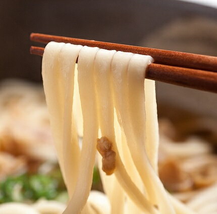 【送料無料】かすうどん　大阪名物　4人前　【※メール便対応※代引・配送日指定不可・同梱可】あぶらかす 油かす 油カス　2000円 ポッキリ　ポイントアップに最適590323