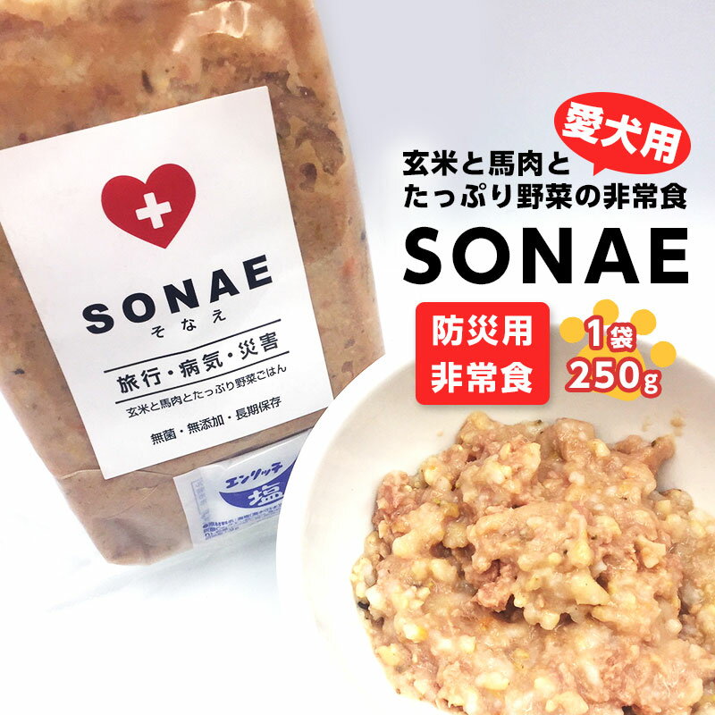 ͤȥڥåȤ￩SONAE