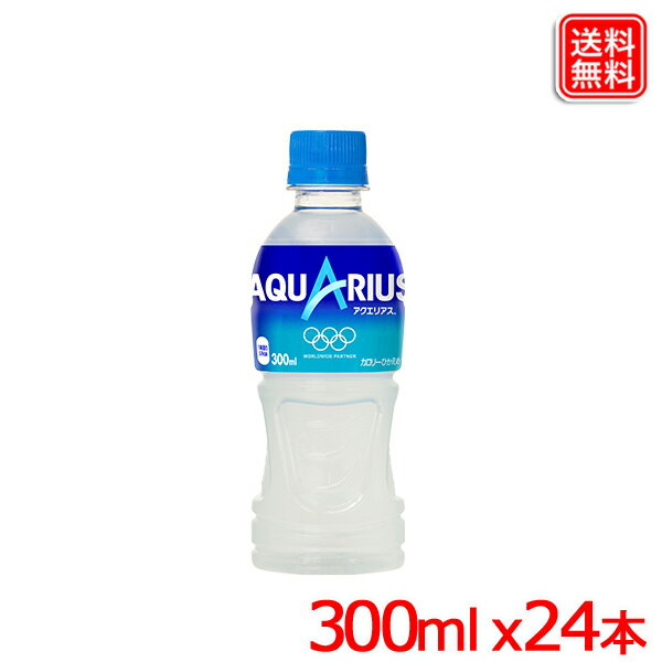 ANGAX PET 300ml x24{ 1P[X  y[J[z