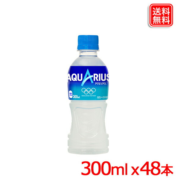 ꥢ PET 300ml x48 ̵ ڥ᡼ľ