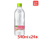 EÉE  PET 540ml x48{  ͂ 