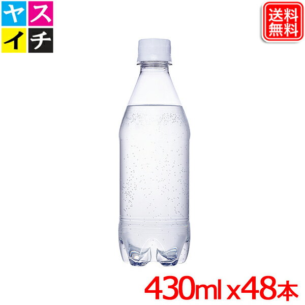 カナダドライ ザ タンサン ストロング ラベルレス 430mlPET x48本 送料無料 