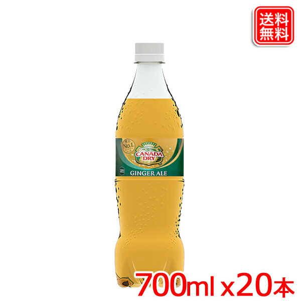 ジンジャーエール カナダドライ 700ml PET x20本 1ケース 【メーカー直送】炭酸飲料 清涼飲料 送料無料