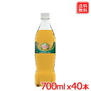 名称カナダドライ ジンジャーエール 700ml PET原材料名果糖ぶどう糖液糖、ジンジャーエキス、炭酸、香料、酸味料、カラメル色素、酸化防止剤（ビタミンC）内容量 700ml入数 40本賞味期限メーカー製造日より6ヶ月保存方法高温・直射日光をさけてください。製造者コカ・コーラ カスタマーマーケティング株式会社カナダドライ ジンジャーエールジンジャーエキスをブレンドし、ジンジャー感を強化 最後までおいしく飲める、“ちょうどいいサイズ”